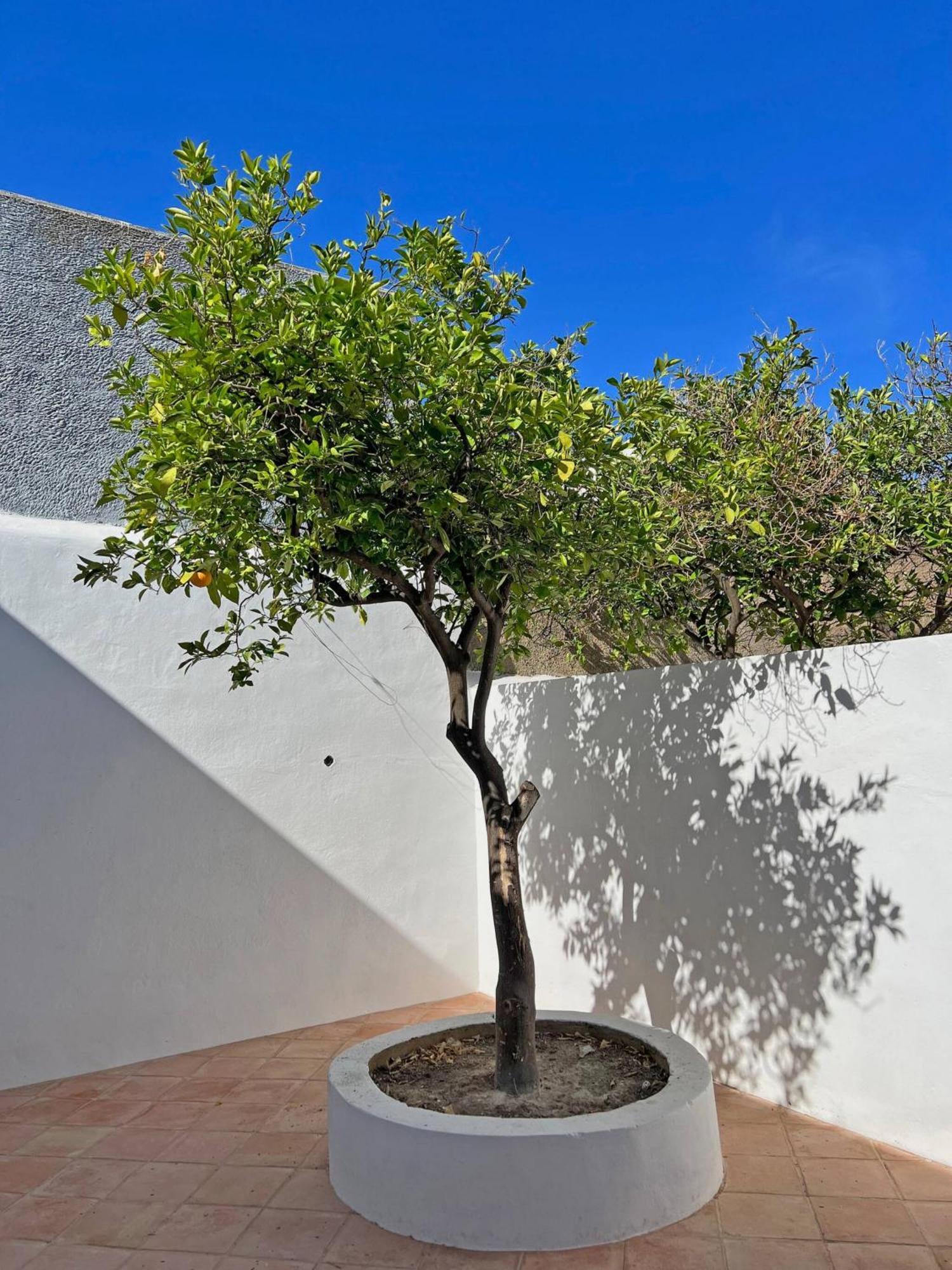 Casa Florence - Fuseta Extérieur photo